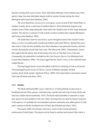 84
daytime roosting often occurs in trees. Some individuals hibernate in the northern areas of the
species' range, but most individuals migrate south to warmer climates during the winter
(Biological and Conservation Database, 2002).
The silver-haired bat, Lasionycteris noctivagans, occurs in most of the United States, in
southern Canada, and in a small area of northern Mexico. Silver-haired bats migrate to the
southern areas of their range during the winter and to the northern areas of their range during the
summer. The species is common in Utah as both a summer resident and a migrant (Biological
and Conservation Database, 2002).
The spotted bat, Euderma maculatum, occurs throughout much of the western United
States, as well as in southwestern Canada and northern and central Mexico. Spotted bats occur
state-wide in Utah, but have probably never been abundant in any particular location, and have
not been documented around Utah Lake since 1983 (Bosworth, 2003). Unfortunately, current
data suggest that the species may be becoming even rarer in Utah than it was in the past.
Consequently, the spotted bat is included on the Utah Sensitive Species List (Biological and
Conservation Database, 2002). The long-Legged Myotis, Myotis volans, is also called the hairy-
winged Myotis.
The long-legged myotis occurs throughout Utah but its wintering in Utah is not known.
The long-legged myotis occurs in Utah in a variety of habitats including: lowland
riparian, desert shrub, juniper–sagebrush (Oliver, 2000). It has been listed as uncommon around
Utah Lake (Pritchett and others, 1981).
7.5.3 Rabbits
The black-tailed jackrabbit, Lepus californicus, is found primarily in open areas or
brushlands and eats forbs, grasses, cultivated crops, and the bark and twigs of many shrubs and
fruit trees (Alden and Grossenheider, 1987). The black-tailed jackrabbit is important as major
prey species for most predators in the area. Many shooting hours are spent by hunters in pursuit
of this species. It is probably the most abundant and most commonly seen rabbit species in Utah,
and is common in the dry brushland west of Utah Lake (Pritchett and others, 1981).
The pygmy rabbit, Brachylagus idahoensis, occurs in the western (primarily
northwestern) United States. This species can be found in northern and western Utah, where it
 