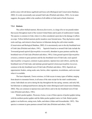 85
prefers areas with tall dense sagebrush and loose soils (Biological and Conservation Database,
2002). It is only occasionally seen around Utah Lake (Pritchett and others, 1981). As its name
suggests, the pygmy rabbit is the smallest of all rabbits in Utah (and in North America).
7.5.4 Rodents
The yellow-bellied marmot, Marmota flaviventris, is a large (five to ten pound) rodent
that occurs throughout much of the western United States and in parts of southwestern Canada.
The species is common in Utah, where it is often considered a pest due to the damage it inflicts
on crops. Yellow-bellied marmots prefer meadows near forested areas. They dig burrows under
rocks and logs, and retreat to those burrows to hibernate during the cold winter months
(Conservation and Biological Database, 2002). It is uncommonly seen in the dry brushland west
of Utah Lake (Pritchett and others, 1981). Squirrels found at or around Utah Lake include the
Townsend ground squirrel (Spermophilus townsendii), abundant in grass pastures and the dry
brushland west of Utah Lake (Pritchett and others, 1981); Uinta ground squirrel (Spermophilus
armatus), common in grass pastures and the dry brushland west of Utah Lake; rock squirrel
(Spermophilus veriegatus), common in grass pastures, riparian trees and willows, and the dry
brushland west of Utah Lake; and antelope ground squirrel (Ammonspermophilus leacurus),
common in the dry brushland west of Utah Lake (Pritchett and others, 1981). Squirrels are
opportunistic feeders, eating seeds, nuts, berries, other vegetation, invertebrates, and even meat
when it is available.
The least chipmunk, Tamias minimus, in Utah occurs in many types of habitat, ranging
from deserts to mountain forests, in all areas of the state except for the state's southwestern
corner. Individuals are active during the day throughout the late spring, summer, and early fall,
but hibernate in underground burrows during the winter (Biological and Conservation Database,
2002). They are common in riparian trees and willows and in the dry brushland west of Utah
Lake (Pritchett and others, 1981).
Botta's pocket gopher, Thomomys bottae, is one of three species of pocket gopher (along
with the northern pocket gopher and the Idaho pocket gopher) native to Utah. Botta's pocket
gopher is an herbivore, eating roots, bulbs, and tubers (Alden and Grossenheider, 1987). This
species is common in grass pastures around Utah Lake (Pritchett and others, 1981).
 