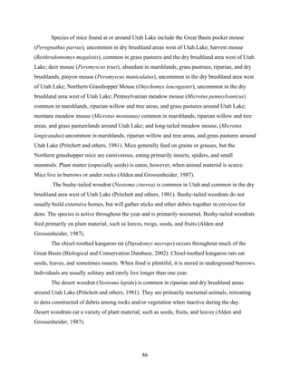86
Species of mice found at or around Utah Lake include the Great Basin pocket mouse
(Perognathus parvus), uncommon in dry brushland areas west of Utah Lake; harvest mouse
(Reithrodontomys megalotis), common in grass pastures and the dry brushland area west of Utah
Lake; deer mouse (Peromyscus truei), abundant in marshlands, grass pastrues, riparian, and dry
brushlands, pinyon mouse (Peromyscus maniculatus), uncommon in the dry brushland area west
of Utah Lake; Northern Grasshopper Mouse (Onychomys leucogaster), uncommon in the dry
brushland area west of Utah Lake; Pennsylvanian meadow mouse (Microtus pennsylvanicus)
common in marshlands, riparian willow and tree areas, and grass pastures around Utah Lake;
montane meadow mouse (Microtus montanus) common in marshlands, riparian willow and tree
areas, and grass pasturelands around Utah Lake; and long-tailed meadow mouse, (Microtus
longicaudus) uncommon in marshlands, riparian willow and tree areas, and grass pastures around
Utah Lake (Pritchett and others, 1981). Mice generally feed on grains or grasses, but the
Northern grasshopper mice are carnivorous, eating primarily insects, spiders, and small
mammals. Plant matter (especially seeds) is eaten, however, when animal material is scarce.
Mice live in burrows or under rocks (Alden and Grossenheider, 1987).
The bushy-tailed woodrat (Neotoma cinerea) is common in Utah and common in the dry
brushland area west of Utah Lake (Pritchett and others, 1981). Bushy-tailed woodrats do not
usually build extensive homes, but will gather sticks and other debris together in crevices for
dens. The species is active throughout the year and is primarily nocturnal. Bushy-tailed woodrats
feed primarily on plant material, such as leaves, twigs, seeds, and fruits (Alden and
Grossenheider, 1987).
The chisel-toothed kangaroo rat (Dipodomys microps) occurs throughout much of the
Great Basin (Biological and Conservation Database, 2002). Chisel-toothed kangaroo rats eat
seeds, leaves, and sometimes insects. When food is plentiful, it is stored in underground burrows.
Individuals are usually solitary and rarely live longer than one year.
The desert woodrat (Neotoma lepida) is common in riparian and dry brushland areas
around Utah Lake (Pritchett and others, 1981). They are primarily nocturnal animals, retreating
to dens constructed of debris among rocks and/or vegetation when inactive during the day.
Desert woodrats eat a variety of plant material, such as seeds, fruits, and leaves (Alden and
Grossenheider, 1987).
 