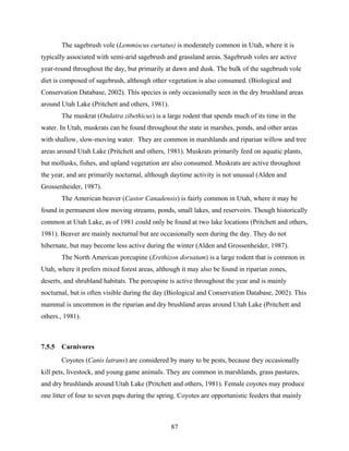 87
The sagebrush vole (Lemmiscus curtatus) is moderately common in Utah, where it is
typically associated with semi-arid sagebrush and grassland areas. Sagebrush voles are active
year-round throughout the day, but primarily at dawn and dusk. The bulk of the sagebrush vole
diet is composed of sagebrush, although other vegetation is also consumed. (Biological and
Conservation Database, 2002). This species is only occasionally seen in the dry brushland areas
around Utah Lake (Pritchett and others, 1981).
The muskrat (Ondatra zibethicus) is a large rodent that spends much of its time in the
water. In Utah, muskrats can be found throughout the state in marshes, ponds, and other areas
with shallow, slow-moving water. They are common in marshlands and riparian willow and tree
areas around Utah Lake (Pritchett and others, 1981). Muskrats primarily feed on aquatic plants,
but mollusks, fishes, and upland vegetation are also consumed. Muskrats are active throughout
the year, and are primarily nocturnal, although daytime activity is not unusual (Alden and
Grossenheider, 1987).
The American beaver (Castor Canadensis) is fairly common in Utah, where it may be
found in permanent slow moving streams, ponds, small lakes, and reservoirs. Though historically
common at Utah Lake, as of 1981 could only be found at two lake locations (Pritchett and others,
1981). Beaver are mainly nocturnal but are occasionally seen during the day. They do not
hibernate, but may become less active during the winter (Alden and Grossenheider, 1987).
The North American porcupine (Erethizon dorsatum) is a large rodent that is common in
Utah, where it prefers mixed forest areas, although it may also be found in riparian zones,
deserts, and shrubland habitats. The porcupine is active throughout the year and is mainly
nocturnal, but is often visible during the day (Biological and Conservation Database, 2002). This
mammal is uncommon in the riparian and dry brushland areas around Utah Lake (Pritchett and
others., 1981).
7.5.5 Carnivores
Coyotes (Canis latrans) are considered by many to be pests, because they occasionally
kill pets, livestock, and young game animals. They are common in marshlands, grass pastures,
and dry brushlands around Utah Lake (Pritchett and others, 1981). Female coyotes may produce
one litter of four to seven pups during the spring. Coyotes are opportunistic feeders that mainly
 