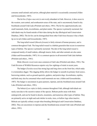 88
consume small animals and carrion, although plant material is occasionally consumed (Alden
and Grossenheider, 1987).
The kit fox (Vulpes macrotis) is not overly abundant in Utah. However, it does occur in
the western, east-central, and southeastern areas of the state, and is uncommonly found in dry
brushlands around Utah Lake (Pritchett and others, 1981). The kit fox opportunistically eats
small mammals, birds, invertebrates, and plant matter. The species is primarily nocturnal, but
individuals may be found outside of their dens during the day (Biological and Conservation
Database, 2002). The kit fox can be distinguished from other Utah foxes because it has a black
tip on its tail (Alden and Grossenheider, 1987).
The long-tailed weasel (Mustela frenata) is fairly tolerant of human presence, and is
common throughout Utah. The long-tailed weasel is a habitat generalist that occurs in numerous
types of habitat. The species is primarily nocturnal. The diet of the long-tailed weasel is
composed mainly of small rodents, although insects, birds, and other animals are also eaten
(Alden and Grossenheider, 1987). It is a common species in all terrestrial Utah Lake habitats
(Pritchett and others., 1981).
Mink (Mustela vison) were once common at Utah Lake (Pritchett and others, 1981). The
Utah Division of Wildlife Resources reports very few sightings of mink in recent years.
The badger (Taxidea taxus) has strong legs and long claws on the front feet, which make
it a tremendous digger. This digging ability allows the badger to unearth its primary food source,
burrowing rodents, such as ground squirrels, gophers, and prairie dogs. Invertebrates, reptiles,
and birds may also be consumed when small mammals are rare. (Alden and Grossenheider,
1987). The badger is uncommon in grass pastures, riparian, and dry brushland areas around Utah
Lake (Pritchett and others, 1981).
The bobcat (Lynx rufus) is fairly common throughout Utah, although individuals are
rarely seen due to the secretive nature of the species. Bobcats prefer areas with thick
undergrowth, and can be found in deserts, mountains, and numerous other types of habitat. They
are primarily active at night and seek shelter in rocks, trees, or hollow logs when inactive.
Bobcats are typically solitary except when breeding (Biological and Conservation Database,
2002). They are uncommon in riparian and dry brushland areas around Utah Lake (Pritchett and
others, 1981).
 