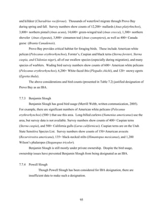 95
and killdeer (Charadrius vociferous). Thousands of waterfowl migrate through Provo Bay
during spring and fall. Survey numbers show counts of 12,200+ mallards (Anas platyrhnchos),
3,800+ northern pintail (Anas acuta), 14,600+ green-winged teal (Anas crecca), 1,300+ northern
shoveler (Anas clypeata), 3,800+ cinnamon teal (Anas cyanoptera), as well as 400+ Canada
geese (Branta Canadensis).
Provo Bay provides critical habitat for foraging birds. These include American white
pelican (Pelecanus erythrorhynchos), Forster’s, Caspian and black terns (Sterna forsteri, Sterna
caspia, and Clidonias niger), all of our swallow species (especially during migration), and many
species of warblers. Wading bird survey numbers show counts of 600+ American white pelicans
(Pelecanus erythrorhynchos), 6,200+ White-faced ibis (Plegadis chichi), and 120+ snowy egrets
(Egretta thula).
The above considerations and bird counts (presented in Table 7.2) justified designation of
Provo Bay as an IBA.
7.7.3 Benjamin Slough
Benjamin Slough has good bird usage (Merrill Webb, written communication, 2005).
For example, there are significant numbers of American white pelicans (Pelecanus
erythrorhynchos) (500+) that use this area. Long-billed curlews (Numenius americanus) use the
area, but survey data is not available. Survey numbers show counts of 400+ Caspian terns
(Sterna caspia), and 500+ California gulls (Larus californicus). Caspian terns are on the Utah
State Sensitive Species List. Survey numbers show counts of 150+American avocets
(Recurvirostra americana), 135+ black-necked stilts (Himantopus mexicanus), and 1,200
Wilson’s phalaropes (Steganopus tricolor).
Benjamin Slough is still mostly under private ownership. Despite the bird usage,
ownership issues have prevented Benjamin Slough from being designated as an IBA.
7.7.4 Powell Slough
Though Powell Slough has been considered for IBA designation, there are
insufficient data to make such a designation.
 