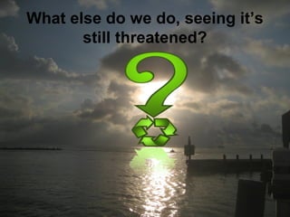 What else do we do, seeing it’s
still threatened?
 