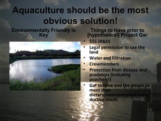 Aquaculture should be the most
obvious solution!
Environmentally Friendly is
Key
Things to Have prior to
[hypothetical] Project Gar
• $$$ (R&D)
• Legal permission to use the
land
• Water and Filtration
• Crewmembers
• Protection from disease and
predators (including
poachers!)
• Gar to raise and the means to
meet their
dietary/environmental/repro
ductive needs
 