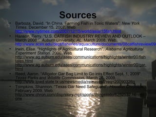 Sources
• Barboza, David. “In China, Farming Fish in Toxic Waters”. New York
Times. December 15, 2007. Web
http://www.nytimes.com/2007/12/15/world/asia/15fish.html
• Hanson, Terry. “U.S. CATFISH INDUSTRY REVIEW AND OUTLOOK –
March 2008 ”. Auburn University, AL. March 2008. Web.
http://www.aces.edu/dept/fisheries/aquaculture/documents/08catfishreview09o
• Irwin, Elise. “Highlights of Agricultural Research”. Alabama Agricultural
Experiment Station. 2000. Web
http://www.ag.auburn.edu/aaes/communications/highlights/winter00/fish
tales.html
http://www.ag.auburn.edu/aaes/communications/highlights/winter00/gar.
html
• Reed, Aaron. “Alligator Gar Bag Limit to Go into Effect Sept. 1, 2009”.
Texas Parks and Wildlife Commission. March 26, 2009.
http://www.tpwd.state.tx.us/newsmedia/releases/?req=20090326g
• Tompkins, Shannon. “Texas Gar Need Safeguard”. Houston Chronicle.
February 2009. Web.
http://www.chron.com/disp/story.mpl/sports/thingstodo/6252532.html#n
one
 