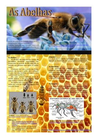 Fundo2:http://indie-visible.com/wp-content/uploads/2012/10/Honeycomb.jpg
As Abelhas
As abelhas são insectos que vivem em
sociedades altamente organizadas. São
conhecidas há mais de 40.000 anos, são os
animais que prestam mais ajuda na polini-
zação.
Produzem mel com o polén das flores;
quando vão buscar o polén não o utilizam
só para elas mas também utilizam-no para
a polinização das flores.
Em cada colmeia existem cerca de
80.000 abelhas, e em cada colónia existe
uma rainha e cerca de 400 zangões.
As rainhas têm cerca de 20mm, as ope-
rárias têm cerca de 15mm e os zangões têm
cerca de 18mm.
A Rainha
A rainha é a abelha mais importante na colmeia, as
suas únicas funções são pôr ovos e manter a ordem na col-
As Operárias
As operárias são responsáveis por todos os
trabalhos realizados no interior da colmeia só não
pôem ovos porque essa função é só da rainha.
Encarregam-se da higiene da colmeia, garantem
alimento e a água de que a colônia necessita,
colectando pólen e néctar.
Escola Secundária de Palmela, 2012-2013.
Disciplina de Ciências Naturais.
Trabalho realizado por: Adriana Pakisi nº1,
Ana Godinho nº2, Daniela Pinto nº8, 8ºA.
Fundo1: http://www.digitaltrends.com/wp-contentuploads/
2011/05/honey-bee-cell-phone.png
Os Zangões
A única função dos zangões é a fecundação das
rainhas virgens. O zangão é o único macho da colmeia,
não possui ferrão e nasce dos ovos fecundados
depositados pela rainha num alvéolo maior que os das
abelhas operárias.
Imagem1 - Vários tipos de abelhas.
http://www.anapicultura.xpg.com.br/Imagens/
Imagem2 - Anatomia interna de uma abelha.
http://4.bp.blogspot.com/_z6kYLTHmI8Q/THEUamcyOvI/
Bibliografia
 http://pt.wikipedia.org/wiki/Abelha
 http://www.angelfire.com/wy/shangrila/
vida.html
 Manual de Ciências Naturais, Sistema da
Terra, Carlos campos e Zélia Delgado, Lis-
boa, 2007, texto editores.
 