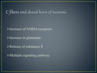 Increase of NMDA receptors.
Increase in glutamate.
Release of substance P.
Multiple signaling pathway.
 