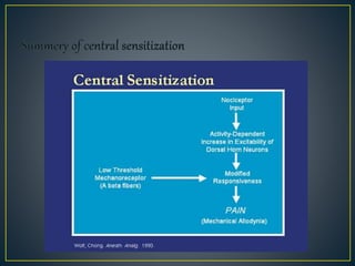 Central Sensitization