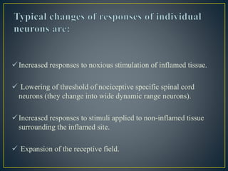 Increased responses to noxious stimulation of inflamed tissue.
 Lowering of threshold of nociceptive specific spinal cord
neurons (they change into wide dynamic range neurons).
Increased responses to stimuli applied to non-inflamed tissue
surrounding the inflamed site.
 Expansion of the receptive field.
 