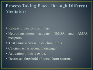  Release of neurotransmitters.
 Neurotransmitters activate NMDA and AMPA
receptors.
 That cause increase in calcium influx.
 Calcium act as second messenger.
 Activation of nitric oxide.
 Decreased threshold of dorsal horn neurons.
 