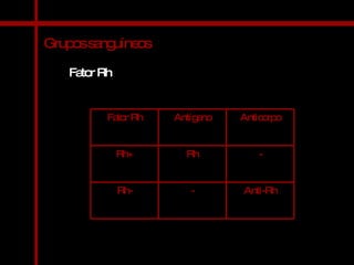 Grupos sanguíneos Fator Rh Anti-Rh - Rh- - Rh Rh+ Anticorpo Antígeno Fator Rh 