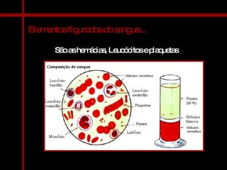 Elementos figurados do sangue... São as hemácias, Leucócitos e plaquetas 
