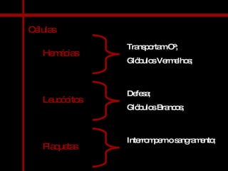 Células Hemácias Transportam O²; Glóbulos Vermelhos; Leucócitos Defesa; Glóbulos Brancos; Plaquetas Interrompem o sangramento; 