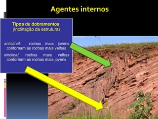 Agentes internos
 