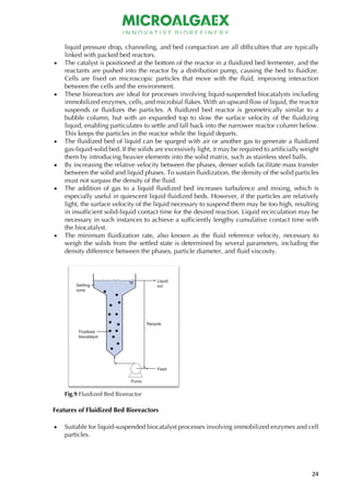Channeling In Ractor Comprehensive Review of Bioreactors: Design, Principles, and ...
