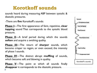 8_Arterial blood pressure measurement for medical students_physiology ...