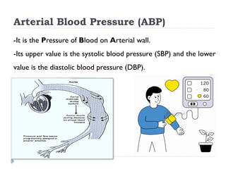 8_Arterial blood pressure measurement for medical students_physiology ...