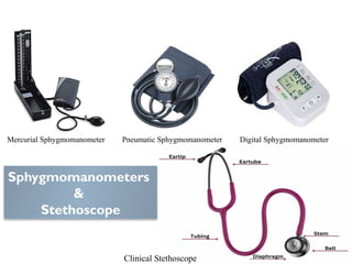 8_Arterial blood pressure measurement for medical students_physiology ...