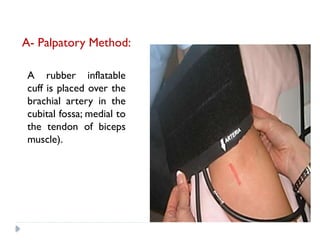 8_Arterial blood pressure measurement for medical students_physiology ...