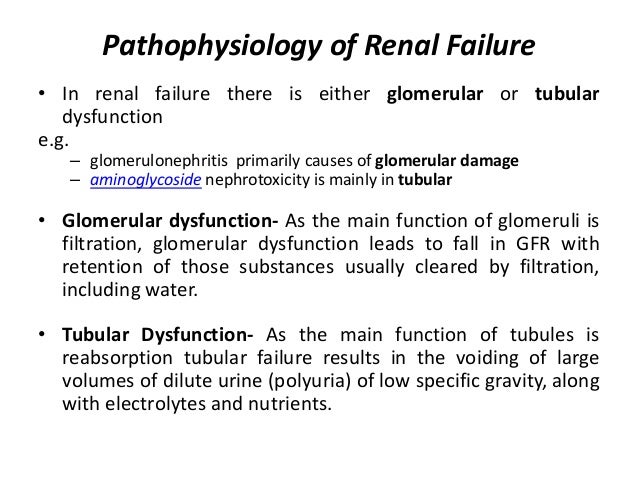 Pathophysiology Of Acute Renal Failure In Flow Chart