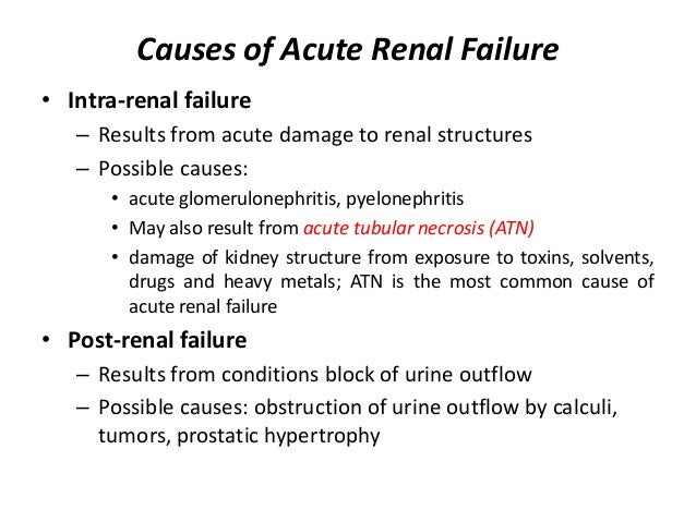 Image result for kidney failure causes