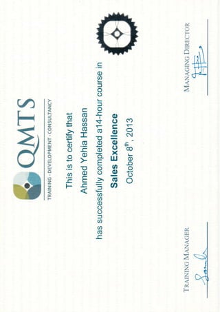 SALES EXCELLENCE CERTIFICATE