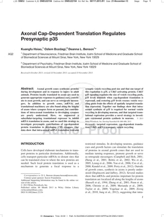 Axonal Cap-Dependent Translation Regulates
Presynaptic p35
Kuangfu Hsiao,1
Ozlem Bozdagi,2
Deanna L. Benson1
*
AQ2 1
Department of Neuroscience, Friedman Brain Institute, Icahn School of Medicine and Graduate School
of Biomedical Sciences at Mount Sinai, New York, New York 10029
2
Department of Psychiatry, Friedman Brain Institute, Icahn School of Medicine and Graduate School of
Biomedical Sciences at Mount Sinai, New York, New York 10029
Received 6 October 2013; revised 14 November 2013; accepted 14 November 2013
Abstract: Axonal growth cones synthesize proteins
during development and in response to injury in adult
animals. Proteins locally translated in axons are used to
generate appropriate responses to guidance cues, contrib-
ute to axon growth, and can serve as retrograde messen-
gers. In addition to growth cones, mRNAs and
translational machinery are also found along the lengths
of axons where synapses form en passant, but contribu-
tions of intra-axonal translation to developing synapses
are poorly understood. Here, we engineered a
subcellular-targeting translational repressor to inhibit
mRNA translation in axons, and we used this strategy to
investigate presynaptic contributions of cap-dependent
protein translation to developing CNS synapses. Our
data show that intra-axonal mRNA translation restrains
synaptic vesicle recycling pool size and that one target of
this regulation is p35, a Cdk5 activating protein. Cdk5/
p35 signaling regulates the size of vesicle recycling pools,
p35 levels diminish when cap-dependent translation is
repressed, and restoring p35 levels rescues vesicle recy-
cling pools from the effects of spatially targeted transla-
tion repression. Together our ﬁndings show that intra-
axonal synthesis of p35 is required for normal vesicle
recycling in developing neurons, and that targeted trans-
lational repression provides a novel strategy to investi-
gate extrasomal protein synthesis in neurons. VC 2013
Wiley Periodicals, Inc. Develop Neurobiol 00: 000–000, 2013
Keywords: targeted repression; cap-dependent transla-
tion; Cdk5; mRNA transport; vesicle recycling
INTRODUCTION
Cells have developed elaborate mechanisms to trans-
port proteins to particular destinations. Additionally,
cells transport particular mRNAs to distant sites that
can be translated close to where the new proteins are
needed. Such local protein translation is used as a
mechanism to generate a focal response to a
restricted stimulus. In developing neurons, guidance
cues and growth factors can stimulate the translation
of proteins in axonal growth cones that are used to
mediate turning responses, promote growth or serve
as retrograde messengers (Campbell and Holt, 2001;
Zheng et al., 2001; Brittis et al., 2002; Wu et al.,
2005; Leung et al., 2006; Yao et al., 2006; Cox et al.,
2008; Kundel et al., 2009; Perry et al., 2012). Outside
of growth cones, synthesis in axons is poorly under-
stood (Deglincerti and Jaffrey, 2012). Several studies
show that mRNAs and proteins important for protein
translation are localized all along the lengths of axons
(Bassell et al., 1994; Zheng et al., 2001; Poon et al.,
2006; Christie et al., 2009; Merianda et al., 2009;
Taylor et al., 2009; Vogelaar et al., 2009; Zivraj
et al., 2010; Jung et al., 2012), suggesting that intra-
Correspondence to: D. L. Benson (deanna.benson@mssm.edu).
Contract grant sponsor: Seaver Foundation.
Additional Supporting Information may be found in the online ver-
sion of this article.
Ó 2013 Wiley Periodicals, Inc.
Published online 00 Month 2013 in Wiley Online Library
(wileyonlinelibrary.com).
DOI 10.1002/dneu.22154
1
J_ID: DNEU Customer A_ID: DNEU22154 Cadmus Art: DNEU22154 Ed. Ref. No.: 00117-2013.R1 Date: 21-November-13 Stage: Page: 1
ID: thangaraj.n Time: 20:49 I Path: N:/3b2/DNEU/Vol00000/130091/APPFile/JW-DNEU130091
 