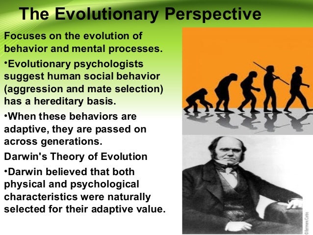 A Biological And Evolutionary Perspective On Weight