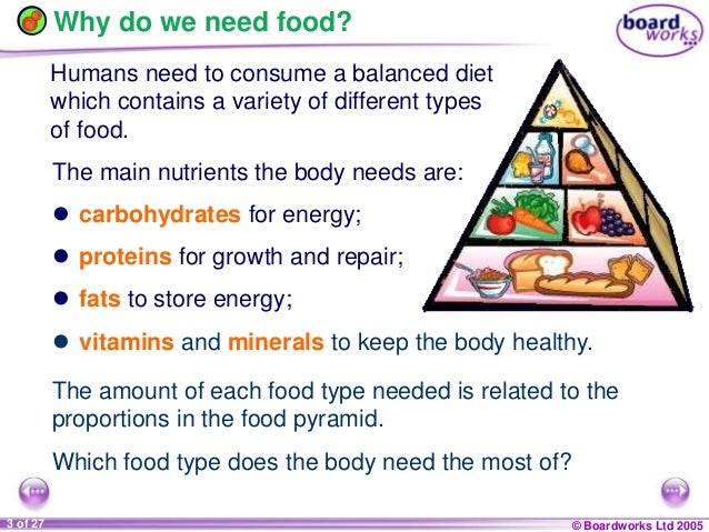 Why do we need to digest food?
