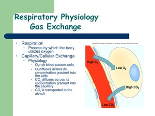 Respiratory Physiology Gas Exchange Respiration Process by which the body utilizes oxygen Capillary/Cellular Exchange Physiology O 2  rich blood passes cells O 2  diffuses across its concentration gradient into the cells CO 2  diffuses across its concentration gradient into the capillary CO 2  is transported to the alveoli  