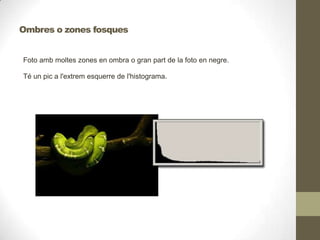 Foto amb moltes zones en ombra o gran part de la foto en negre.
Té un pic a l'extrem esquerre de l'histograma.
Ombres o zones fosques
 