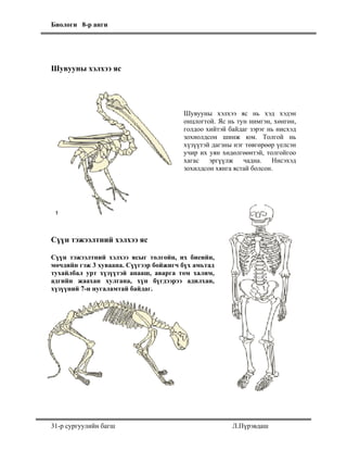 8 angi amitnii_erhten_togtoltsoo-2 | PDF