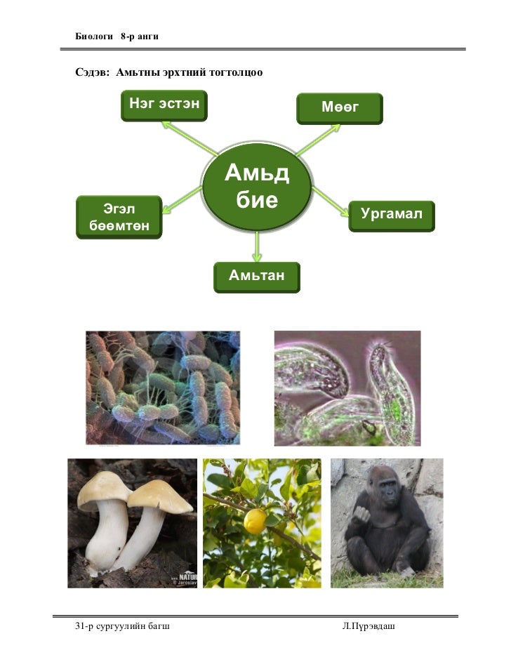 8 angi amitnii_erhten_togtoltsoo-2