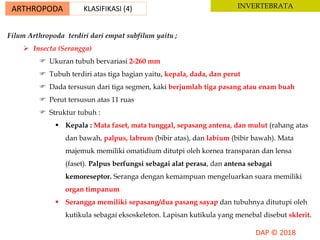 ARTHROPODA KLASIFIKASI (4) INVERTEBRATA
Filum Arthropoda terdiri dari empat subfilum yaitu ;
 Insecta (Serangga)
 Ukuran tubuh bervariasi 2-260 mm
 Tubuh terdiri atas tiga bagian yaitu, kepala, dada, dan perut
 Dada tersusun dari tiga segmen, kaki berjumlah tiga pasang atau enam buah
 Perut tersusun atas 11 ruas
 Struktur tubuh :
 Kepala : Mata faset, mata tunggal, sepasang antena, dan mulut (rahang atas
dan bawah, palpus, labrum (bibir atas), dan labium (bibir bawah). Mata
majemuk memiliki omatidium ditutpi oleh kornea transparan dan lensa
(faset). Palpus berfungsi sebagai alat perasa, dan antena sebagai
kemoreseptor. Seranga dengan kemampuan mengeluarkan suara memiliki
organ timpanum
 Serangga memiliki sepasang/dua pasang sayap dan tubuhnya ditutupi oleh
kutikula sebagai eksoskeleton. Lapisan kutikula yang menebal disebut sklerit.
 