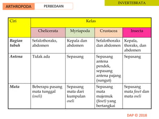 ARTHROPODA PERBEDAAN
INVERTEBRATA
Ciri Kelas
Chelicerata Myriapoda Crustacea Insecta
Bagian
tubuh
Sefalothoraks,
abdomen
Kepala dan
abdomen
Sefalothoraks
dan abdomen
Kepala,
thoraks, dan
abdomen
Antena Tidak ada Sepasang Sepasang
antena
pendek,
sepasang
antena pajang
(sungut)
Sepasang
Mata Beberapa pasang
mata tunggal
(oseli)
Sepasang
mata dari
kumpulan
oseli
Sepasang
mata
majemuk
(faset) yang
bertangkai
Sepasang
mata faset dan
mata oseli
 
