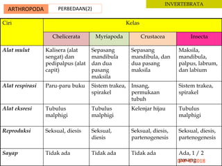 ARTHROPODA PERBEDAAN(2)
INVERTEBRATA
Ciri Kelas
Chelicerata Myriapoda Crustacea Insecta
Alat mulut Kalisera (alat
sengat) dan
pedipalpus (alat
capit)
Sepasang
mandibula
dan dua
pasang
maksila
Sepasang
mandibula, dan
dua pasang
maksila
Maksila,
mandibula,
palpus, labrum,
dan labium
Alat respirasi Paru-paru buku Sistem trakea,
spirakel
Insang,
permukaan
tubuh
Sistem trakea,
spirakel
Alat eksresi Tubulus
malphigi
Tubulus
malphigi
Kelenjar hijau Tubulus
malphigi
Reproduksi Seksual, diesis Seksual,
diesis
Seksual, diesis,
partenogenesis
Seksual, diesis,
partenogenesis
Sayap Tidak ada Tidak ada Tidak ada Ada, 1 / 2
pasang
 