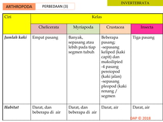ARTHROPODA PERBEDAAN (3)
INVERTEBRATA
Ciri Kelas
Chelicerata Myriapoda Crustacea Insecta
Jumlah kaki Empat pasang Banyak,
sepasang atau
lebih pada tiap
segmen tubuh
Beberapa
pasang;
-sepasang
keliped (kaki
capit) dan
maksilipied
-4 pasang
pereiopod
(kaki jalan)
-sepasang
pleopod (kaki
renang /
segmen
Tiga pasang
Habitat Darat, dan
beberapa di air
Darat, dan
beberapa di air
Darat, air Darat, air
 