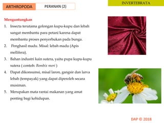 Menguntungkan
1. Insecta terutama golongan kupu-kupu dan lebah
sangat membantu para petani karena dapat
membantu proses penyerbukan pada bunga.
2. Penghasil madu. Misal: lebah madu (Apis
mellifera).
3. Bahan industri kain sutera, yaitu pupa kupu-kupu
sutera ( contoh: Bombix mori )
4. Dapat dikonsumsi, misal laron, gangsir dan larva
lebah (tempayak) yang dapat diperoleh secara
musiman.
5. Merupakan mata rantai makanan yang amat
penting bagi kehidupan.
ARTHROPODA PERANAN (2)
INVERTEBRATA
 