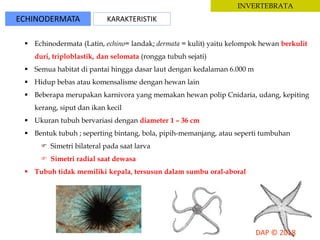 ECHINODERMATA KARAKTERISTIK
INVERTEBRATA
 Echinodermata (Latin, echino= landak; dermata = kulit) yaitu kelompok hewan berkulit
duri, triploblastik, dan selomata (rongga tubuh sejati)
 Semua habitat di pantai hingga dasar laut dengan kedalaman 6.000 m
 Hidup bebas atau komensalisme dengan hewan lain
 Beberapa merupakan karnivora yang memakan hewan polip Cnidaria, udang, kepiting
kerang, siput dan ikan kecil
 Ukuran tubuh bervariasi dengan diameter 1 – 36 cm
 Bentuk tubuh ; seperting bintang, bola, pipih-memanjang, atau seperti tumbuhan
 Simetri bilateral pada saat larva
 Simetri radial saat dewasa
 Tubuh tidak memiliki kepala, tersusun dalam sumbu oral-aboral
 
