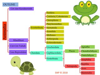 OUTLINEAnimalia
Ciri dan Karakteristik
Klasifikasi
Averterbrata
Porifera
Cnidaria/Colenterata
Ctenophora
Platyheminthes
Nematoda
Annelida
Mollusca
Arthropoda
Echinodermata
Chordata
Urochordata
Cephlacordata
Verterbrata
Pisces
Agnatha
Chondrichthyes
Osteichthyes
Tetrapoda
Amphibia
Reptilia
Aves
Mammalia
Ciri-Ciri Tubuh
Cara Reproduksi
 