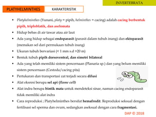 INVERTEBRATA
PLATYHELMINTHES KARAKTERISTIK
 Platyhelminthes (Yunani, platy = pipih, helminthes = cacing) adalah cacing berbentuk
pipih, triploblatik, dan aselomata
 Hidup bebas di air tawar atau air laut
 Ada yang hidup sebagai endoparasit (parasit dalam tubuh inang) dan ektoparasit
(memakan sel dari permukaan tubuh inang)
 Ukuran tubuh bervariasi (< 1 mm s.d >20 m)
 Bentuk tubuh pipih dorsoventral, dan simetri bilateral
 Ada yang telah memiliki sistem pencernaan (Planaria sp.) dan yang belum memiliki
sistem pencernaan (Cestoda/cacing pita)
 Pertukaran dan transportasi zat terjadi secara difusi
 Alat eksresi berupa sel api (flame cell)
 Alat indra berupa bintik mata untuk mendeteksi sinar, namun cacing endoparasit
tidak memiliki alat indra
 Cara reproduksi ; Platyhelminthes bersifat hemafrodit. Reproduksi seksual dengan
fertilisasi sel sperma dan ovum, sedangkan aseksual dengan cara fragmentasi.
 
