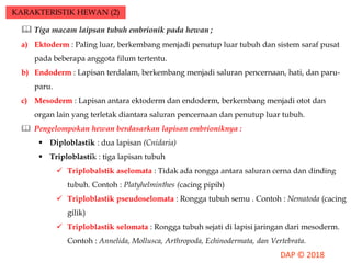 KARAKTERISTIK HEWAN (2)
 Tiga macam laipsan tubuh embrionik pada hewan ;
a) Ektoderm : Paling luar, berkembang menjadi penutup luar tubuh dan sistem saraf pusat
pada beberapa anggota filum tertentu.
b) Endoderm : Lapisan terdalam, berkembang menjadi saluran pencernaan, hati, dan paru-
paru.
c) Mesoderm : Lapisan antara ektoderm dan endoderm, berkembang menjadi otot dan
organ lain yang terletak diantara saluran pencernaan dan penutup luar tubuh.
 Pengelompokan hewan berdasarkan lapisan embrioniknya :
 Diploblastik : dua lapisan (Cnidaria)
 Triploblastik : tiga lapisan tubuh
 Triplobalstik aselomata : Tidak ada rongga antara saluran cerna dan dinding
tubuh. Contoh : Platyhelminthes (cacing pipih)
 Triploblastik pseudoselomata : Rongga tubuh semu . Contoh : Nematoda (cacing
gilik)
 Triploblastik selomata : Rongga tubuh sejati di lapisi jaringan dari mesoderm.
Contoh : Annelida, Mollusca, Arthropoda, Echinodermata, dan Vertebrata.
 