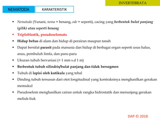 INVERTEBRATA
NEMATODA KARAKTERISTIK
 Nematoda (Yunani, nema = benang, ode = seperti), cacing yang berbentuk bulat panjang
(gilik) atau seperti benang
 Triploblastik, pseudoselomata
 Hidup bebas di alam dan hidup di perairan maupun tanah
 Dapat bersifat parasit pada manusia dan hidup di berbagai organ seperti usus halus,
anus, pembuluh limfa, dan paru-paru
 Ukuran tubuh bervariasi (< 1 mm s.d 1 m)
 Berbentuk tubuh silindris/bulat panjang dan tidak bersegmen
 Tubuh di lapisi oleh kutikula yang tebal
 Dinding tubuh tersusun dari otot longitudinal yang kontraksinya menghasilkan gerakan
memukul
 Pseudoselom menghasilkan cairan untuk rangka hidrostatik dan menunjang gerakan
meliuk-liuk
 