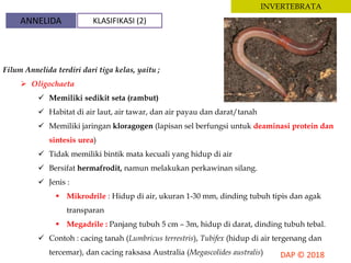 INVERTEBRATA
Filum Annelida terdiri dari tiga kelas, yaitu ;
 Oligochaeta
 Memiliki sedikit seta (rambut)
 Habitat di air laut, air tawar, dan air payau dan darat/tanah
 Memiliki jaringan kloragogen (lapisan sel berfungsi untuk deaminasi protein dan
sintesis urea)
 Tidak memiliki bintik mata kecuali yang hidup di air
 Bersifat hermafrodit, namun melakukan perkawinan silang.
 Jenis :
 Mikrodrile : Hidup di air, ukuran 1-30 mm, dinding tubuh tipis dan agak
transparan
 Megadrile : Panjang tubuh 5 cm – 3m, hidup di darat, dinding tubuh tebal.
 Contoh : cacing tanah (Lumbricus terrestris), Tubifex (hidup di air tergenang dan
tercemar), dan cacing raksasa Australia (Megascolides australis)
ANNELIDA KLASIFIKASI (2)
 
