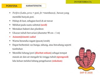INVERTEBRATA
PORIFERA
 Porifera (Latin, porus = pori, fer =membawa) , hewan yang
memiliki banyak pori.
 Hidup di laut, sebagian kecil di air tawar
 Melekat pada suatu substrat (sesil)
 Memakan bakteri dan plankton
 Ukuran tubuh bervariasi (diameter 90 cm – 1 m)
 Asimetri/simetri radial
 Warna beraneka ragam (pucat/cerah)
 Dapat berbentuk vas bunga, tabung, atau bercabang seperti
tumbuhan
 Memiliki lubang/pori (disebut ostium) sebagai tempat
masuk air dan air mengalir ke rongga tubuh (spongosol)
lalu keluar melalui lubang pengeluaran (oskulum)
KARAKTERISTIK
 
