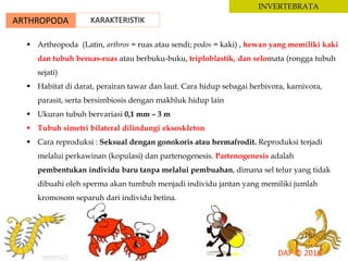 ARTHROPODA KARAKTERISTIK
INVERTEBRATA
 Arthropoda (Latin, arthros = ruas atau sendi; podos = kaki) , hewan yang memiliki kaki
dan tubuh beruas-ruas atau berbuku-buku, triploblastik, dan selomata (rongga tubuh
sejati)
 Habitat di darat, perairan tawar dan laut. Cara hidup sebagai herbivora, karnivora,
parasit, serta bersimbiosis dengan makhluk hidup lain
 Ukuran tubuh bervariasi 0,1 mm – 3 m
 Tubuh simetri bilateral dilindungi eksoskleton
 Cara reproduksi : Seksual dengan gonokoris atau hermafrodit. Reproduksi terjadi
melalui perkawinan (kopulasi) dan partenogenesis. Partenogenesis adalah
pembentukan individu baru tanpa melalui pembuahan, dimana sel telur yang tidak
dibuahi oleh sperma akan tumbuh menjadi individu jantan yang memiliki jumlah
kromosom separuh dari individu betina.
 