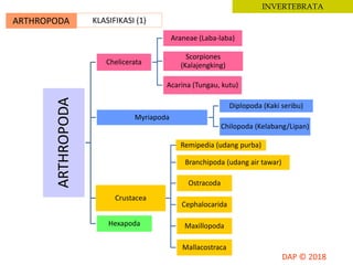 ARTHROPODA KLASIFIKASI (1)
INVERTEBRATA
ARTHROPODA Chelicerata
Araneae (Laba-laba)
Scorpiones
(Kalajengking)
Acarina (Tungau, kutu)
Myriapoda
Diplopoda (Kaki seribu)
Chilopoda (Kelabang/Lipan)
Crustacea
Remipedia (udang purba)
Branchipoda (udang air tawar)
Ostracoda
Cephalocarida
Maxillopoda
Mallacostraca
Hexapoda
 