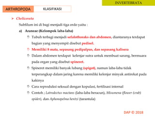 ARTHROPODA KLASIFIKASI
INVERTEBRATA
 Chelicerata
Subfilum ini di bagi menjadi tiga ordo yaitu :
a) Araneae (Kelompok laba-laba)
 Tubuh terbagi menjadi sefalothoraks dan abdomen, diantaranya terdapat
bagian yang menyempit disebut pedisel.
 Memiliki 8 mata, sepasang pedipalpus, dan sepasang kalisera
 Dalam abdomen terdapat kelenjar sutra untuk membuat sarang, bermuara
pada organ yang disebut spineret.
 Spineret memiliki banyak lubang (spigot), namun laba-laba tidak
terperangkap dalam jaring karena memiliki kelenjar minyak antirekat pada
kakinya
 Cara reproduksi seksual dengan kopulasi, fertilisasi internal
 Contoh ; Latrodectus mactans (laba-laba beracun), Misumena (flower (crab)
spider), dan Aphonopelma hentzi (tarantula)
 