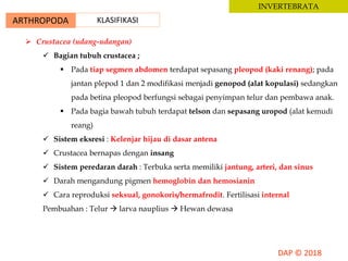 ARTHROPODA KLASIFIKASI
INVERTEBRATA
 Crustacea (udang-udangan)
 Bagian tubuh crustacea ;
 Pada tiap segmen abdomen terdapat sepasang pleopod (kaki renang); pada
jantan plepod 1 dan 2 modifikasi menjadi genopod (alat kopulasi) sedangkan
pada betina pleopod berfungsi sebagai penyimpan telur dan pembawa anak.
 Pada bagia bawah tubuh terdapat telson dan sepasang uropod (alat kemudi
reang)
 Sistem eksresi : Kelenjar hijau di dasar antena
 Crustacea bernapas dengan insang
 Sistem peredaran darah : Terbuka serta memiliki jantung, arteri, dan sinus
 Darah mengandung pigmen hemoglobin dan hemosianin
 Cara reproduksi seksual, gonokoris/hermafrodit. Fertilisasi internal
Pembuahan : Telur  larva nauplius  Hewan dewasa
 