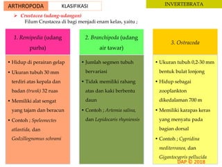 ARTHROPODA KLASIFIKASI INVERTEBRATA
 Crustacea (udang-udangan)
Filum Crustacea di bagi menjadi enam kelas, yaitu ;
1. Remipedia (udang
purba)
• Hidup di perairan gelap
• Ukuran tubuh 30 mm
terdiri atas kepala dan
badan (trunk) 32 ruas
• Memiliki alat sengat
yang tajam dan beracun
• Contoh ; Speleonectes
atlantida, dan
Godzillognomus schrami
2. Branchipoda (udang
air tawar)
• Jumlah segmen tubuh
bervariasi
• Tidak memiliki rahang
atas dan kaki berbentu
daun
• Contoh ; Artemia salina,
dan Lepidocaris rhyniensis
3. Ostracoda
• Ukuran tubuh 0,2-30 mm
bentuk bulat lonjong
• Hidup sebagai
zooplankton
dikedalaman 700 m
• Memiliki karapas keras
yang menyatu pada
bagian dorsal
• Contoh ; Cypridina
mediterranea, dan
Gigantocypris pellucida
 